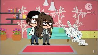 The rabbits 