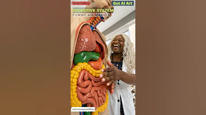 Human Digestive System Animation | Human Anatomy | Gut AI Art | 58