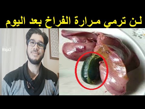 استخدام مرارة الفراخ الرائعة مراره الدجاج فكرة ابداعية لن تمل من سماعها وصفة لازالة متاعب