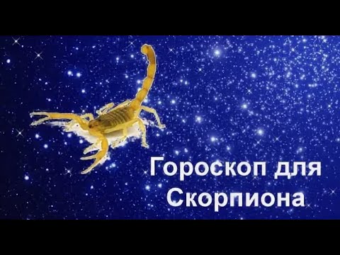 Точный Гороскоп Скорпиона На 2023 Год