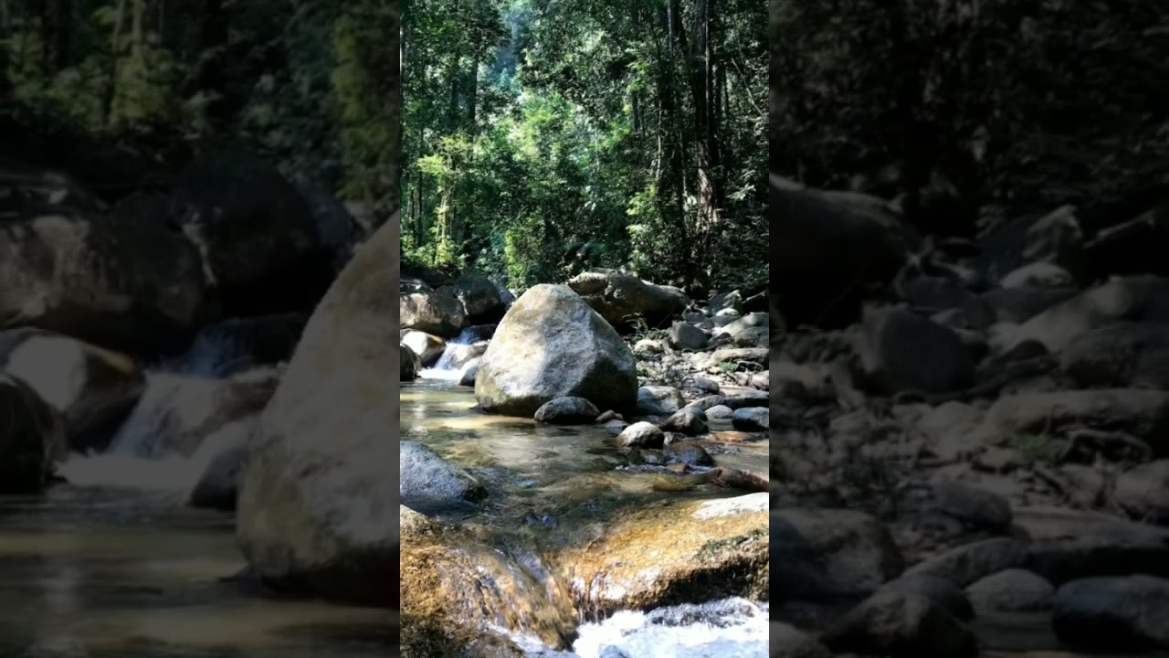 Rupa Sebenar Father's Organic Farm di Batang Kali ! 🏕