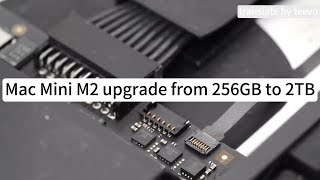 Upgrade Your Mac Mini M2 from 256GB to 2TB | Easy and Simple Step-by-Step Guide for Maximum Storage!