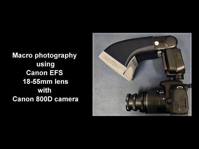 Macro photography using Canon 18-55mm lens - YouTube