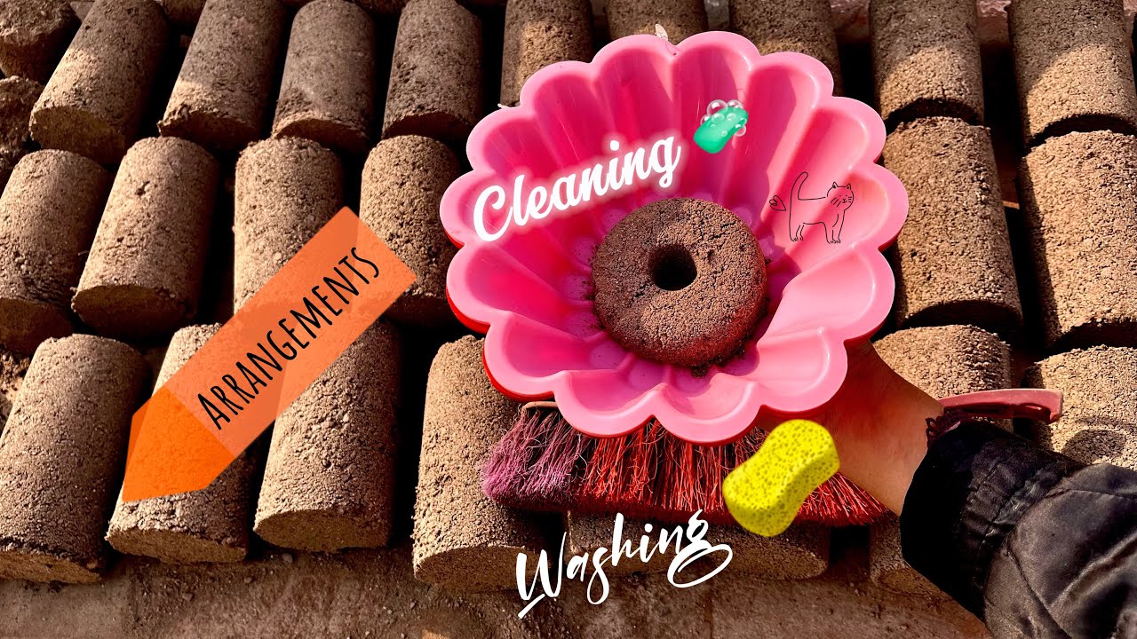 ASMR | New Detailed Cleaning Vlog | Washing Moulds Cleaning 🧼 | Shapes Arrangment | All in One Vlog