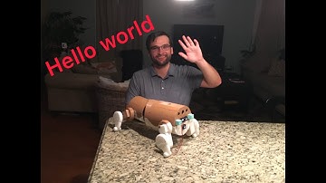 Hello World hope you all are ready for Wolfy, The A.I. Canine and I