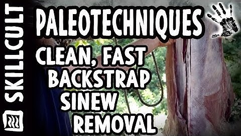 How to Remove Backstrap Sinew Cleanly, Without Wasting Any Meat