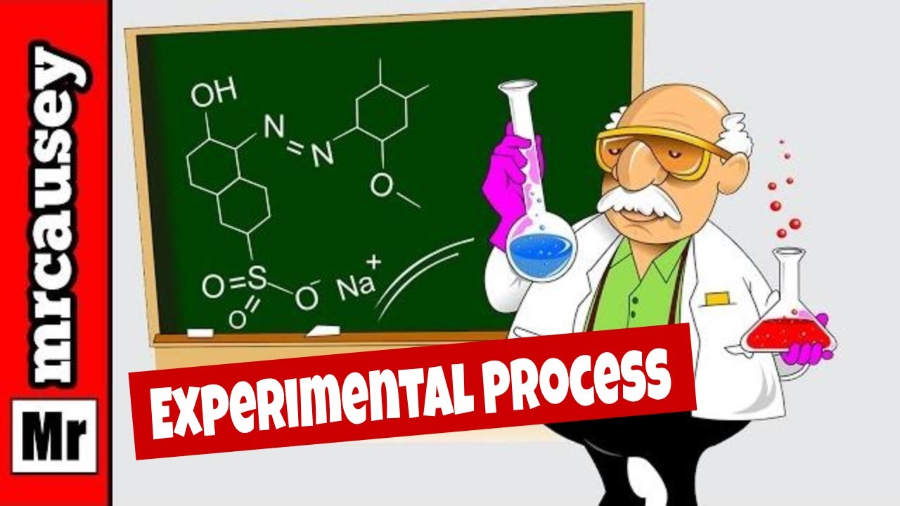 How Do You Organize Experimental Data?