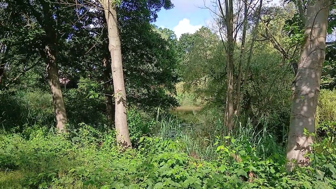 Een /nieuwe vlog /voor on (Enschede) heen (abonneren) is gratis Groetjes Jan Enschede/