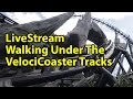 LiveStream From Islands of Adventure, Walking Under the VelociCoaster Track