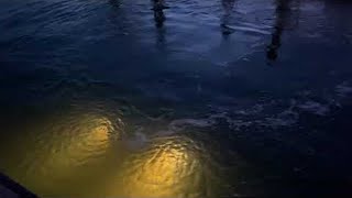 Truck Takes a Dive at Boat Ramp || ViralHog