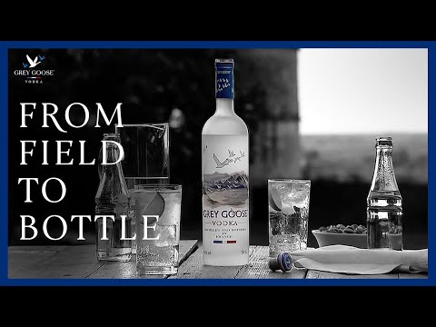 How Vodka Is Made: Grey Goose Vodka from Field to Bottle