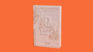 早期 法國 Christian Dior 迪奧 Daniel Arsham聯名 Future Relics系列 Eroded Book 珠寶盒