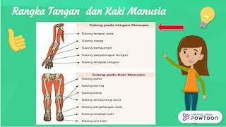 Fungsi Tulang Lengan Manusia#kelas5Tema1subtema2pembelajaran2#