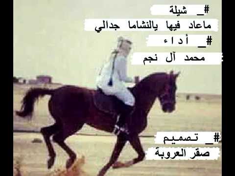 شيلة ماعاد فيها يالنشاما جدالي أداء محمد ال نجم تصميم صقر العروبة