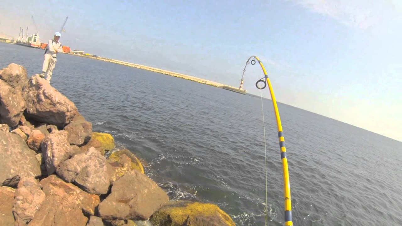 Pesca del Bonito  con equipo ligero/ Eastern Pacific Bonito fishing in Light Game