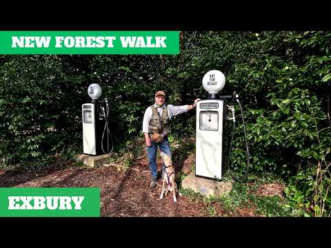 NEW FOREST WALK at EXBURY, WEST COMMON & KING'S COPSE INCLOSURE (4K) thumbnail