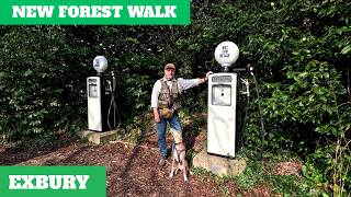 NEW FOREST WALK at EXBURY, WEST COMMON & KING'S COPSE INCLOSURE (4K)