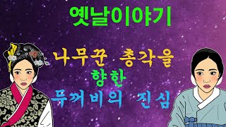 옛날이야기. 나무꾼 총각을 향한 두꺼비의 진심[야담!민담!옛날이야기!전설!설화!]