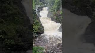 Raymond skills falls 7/14/2023