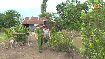 Hiệu quả công tác thi hành án hình sự tại cộng đồng