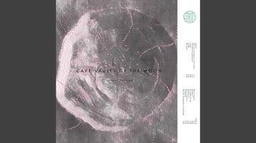 The Twittering Machine