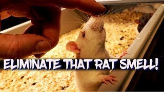 How to eliminate odors in your rodent room!
