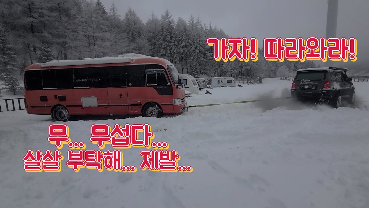 3월의 대관령 폭설! 그 속에서 구난! 정신이 하나도 없구나!