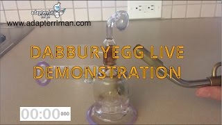 Information How to use the Dabburyegg Live Demonstration Update