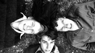 The Triffids: I Was A Teenage Teenager