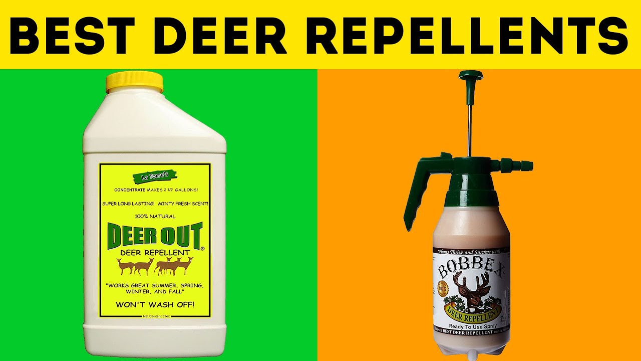 Top 5 Best Deer Repellents
