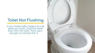 Does My Sewer Line Need Cleaning in Seattle, WA | (206) 440-9077