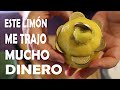 DINERO RAPIDO, con Limones y Monedas, Prosperidad y Riqueza Amarre, Ritual o Hechizo