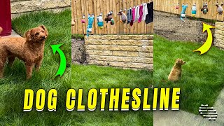 Dog's Reaction to Toys Drying on Clothesline