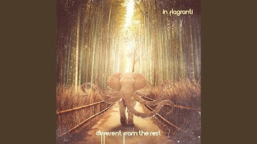 Different from the Rest (Moscoman