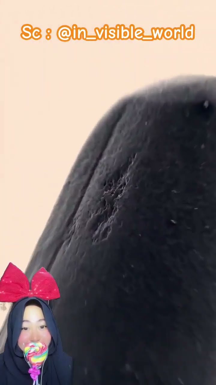PENSIL SUPER ZOOM ⁉️? @in_visible_world #shorts #funny #dubbing