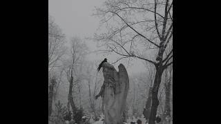 [FREE FOR PROFIT] Metalcore + Heavy Shoegaze + Metal type beat Inverness