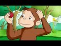 George O Curioso 🐵 Compilação De 1 Hora 🐵 Episódio Completo 🐵 Desenhos Animados