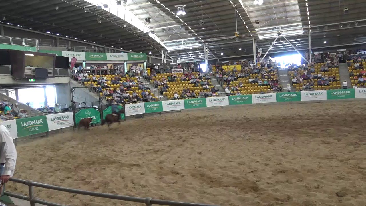 2019 Landmark Classic Sale Lot 150 Spin N Wish. Sold 16,000 YouTube