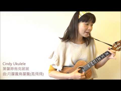 Cindy Ukulele葉馨婷烏克麗麗-月朦朧鳥朦朧(鳳飛飛)