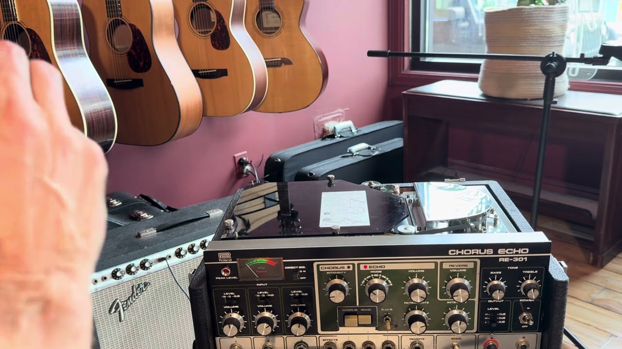 Roland Space Echo RE-301