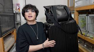 九州爬虫類フェス戦利品紹介！
