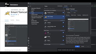 How to Install Tomcat in IntelliJ IDEA & Run JSP Project screenshot 2