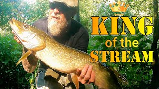Fishing Season 2025 Starts With a Giant Surprise!
