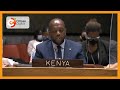 Kenya’s ambassador to UN alludes to African borders in condemning Russia’s declaration on Ukraine