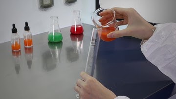 TopAir Laminar Clean Bench 2021