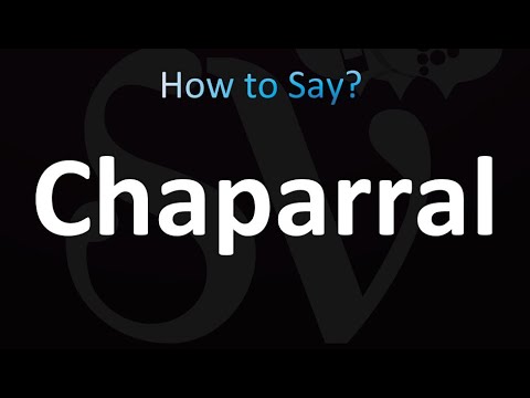 Chaparrals English