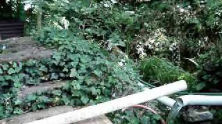 cornish pulser pump