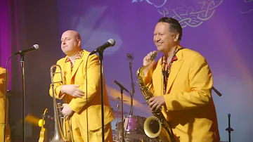 The Jive Aces - "Rip It Up" (LIVE Elvis Presley/Little Richard cover)