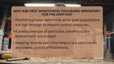 Why Are Pest Monitoring Programs Important For Prevention? - Insects and Invaders