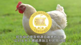 Stem Renu Product By Nht Global